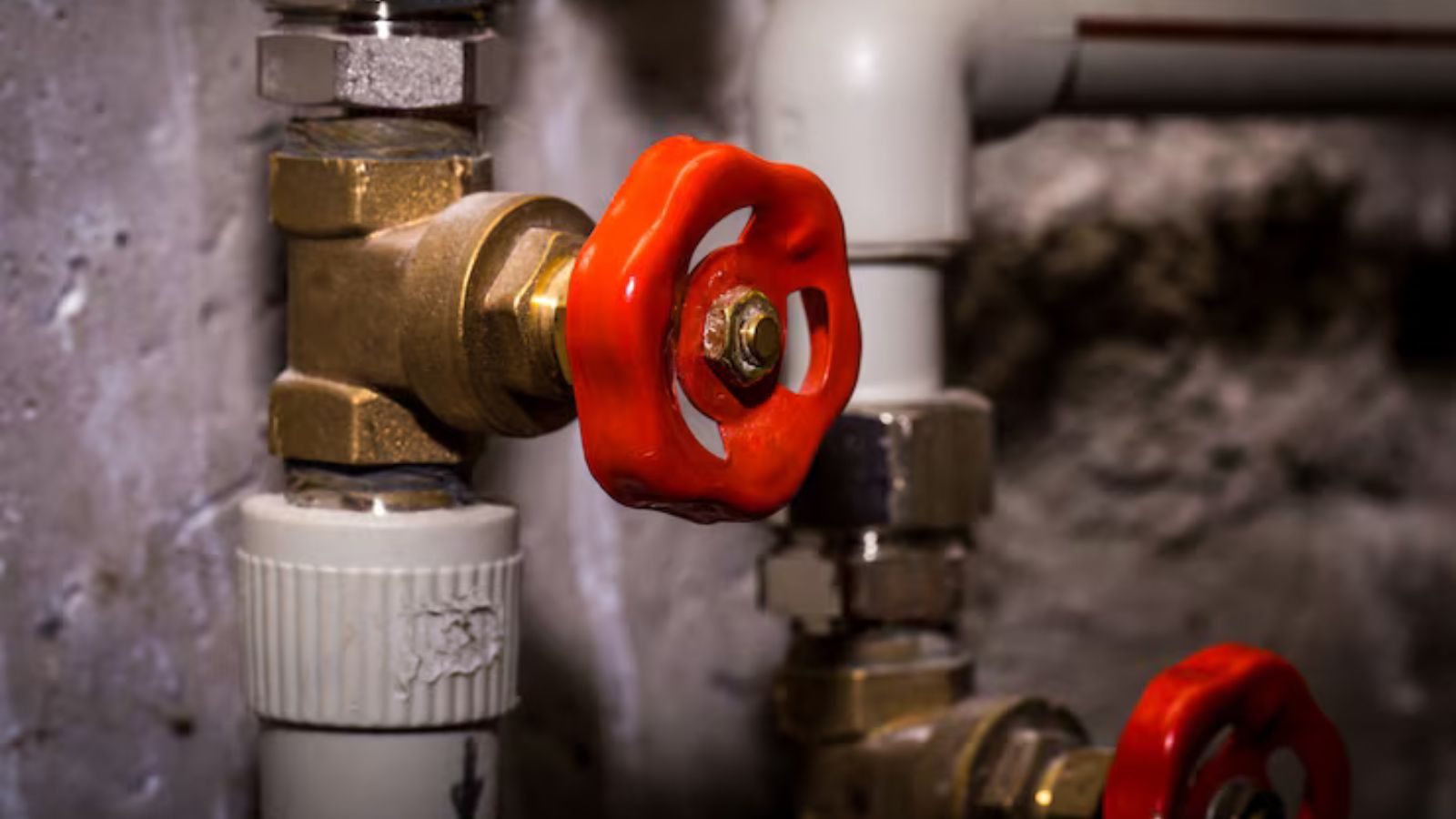 Backflow preventer installed on a water line